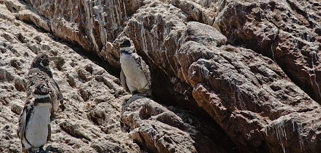 8430501887 48e8777a62 o