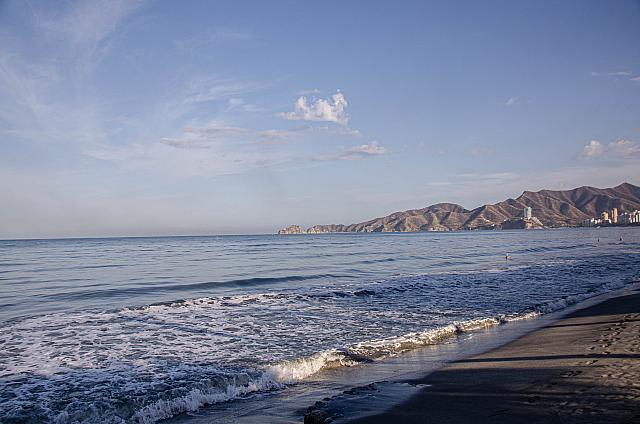 DSC 2204