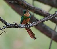 19869535903 43d26c04b3 o