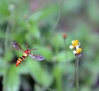 17601398541 037fdde832 o