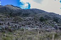 DSC 0717