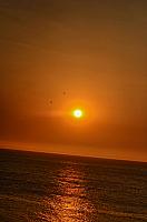 DSC 2743